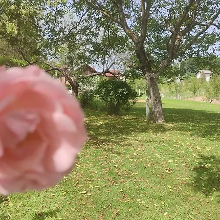 Daca Vikendica Za Odmor Vakantiehuis Banja Luka
